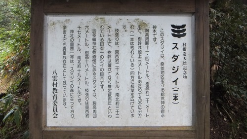 ��¿���������ܰ�Υ�����������