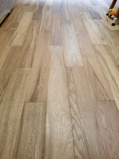 ÈÔÈÄ¥Õ¥í¡¼¥ê¥ó¥° S1¥·¥ê¡¼¥º ¥«¥¹¥¯¥ª¡¼¥¯S¡¡£·