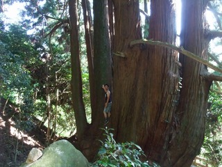 �������ܿ�����