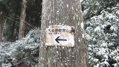 �����������¹����