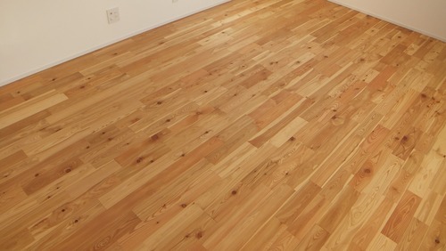 ԥ奢顼TENKARA˥ͥåɥ졼ɣ