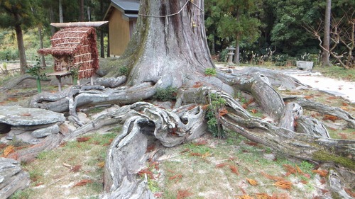 �ƻ����������