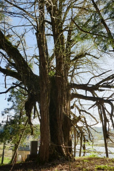 ���縩������ �����������ꥤ���祦10