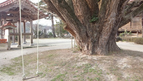 �������ζ�ɡ���