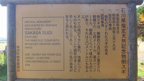 ��Ȼ����ݥ�������