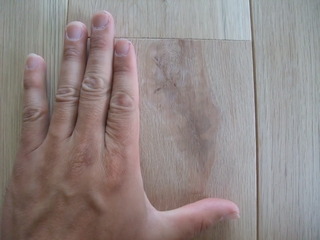 ����������������̵���ե�����󥰡�V���쥯����󥰥졼�ɣ�