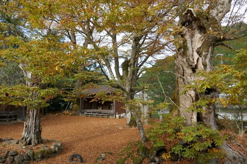 ��ë���޿��ҤΥ��䥭5