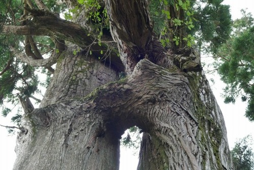 �绳�򻳿��Ҥν��׿��ʤᤪ�Ȥ����ˣ�_ks