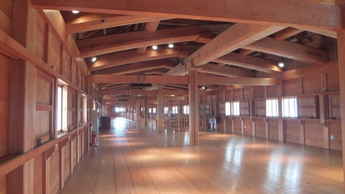 �����룱��