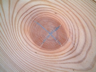 �ԥ奢�顼���ե�����󥰡��ͥ����åɡ���