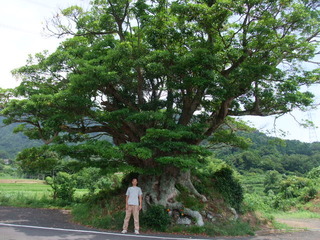 ʡ��Υ��⡡��