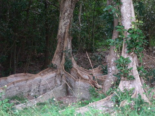 °ÂÇȤΥª¥¥Ê¥ï¥µ¥¥·¥Þ¥¹¥ª¥¦¥Î¥¡¡£·