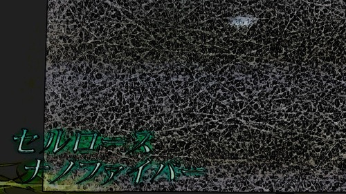 �ʥΥե����С���