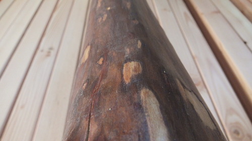 ���뤹�٤�