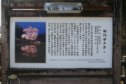 ���奶���� 4