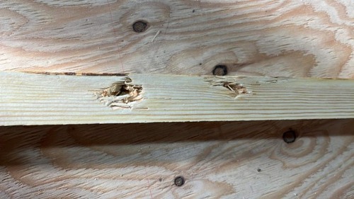 »ÅÊý¤¬¤Ê¤¤¤È¤³¤í¤â¤¢¤ë¤±¤ÉÀâÌÀ¤·¤Æ¤¤¤Ê¤¤¤È