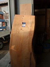 ����ɰ̵������ʪŷ�Ĥȥ��ϥ�̵������ʪ�Ĳ�����̿���1