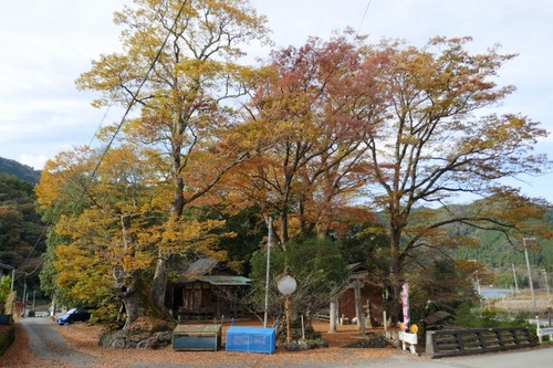 ��ë���޿��ҤΥ��䥭3