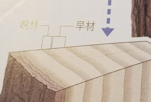 Ìں९¥¤¥º £µ