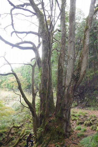 ʼ�˸������ ����祫�ĥ� 16