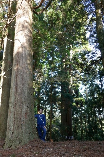 ³Þ·Á¿À¼Ò¤ÎÂ祹¥®¡ÊÉ×ÉØ¥¹¥®¡Ë£¸