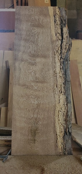 ¥Ê¥é ³ªÌÝÈÄ£²