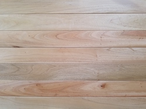 ʼ���ʤĤ��Τ����Τ�������̵������ʪ�ե�����󥰡�7