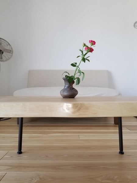 ���ä�������̵������ʪ�ȥΥ�ǥ��ȥ�������ʥå�V�£�