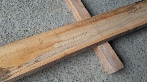 ���Υ��ݥ�ȡ���