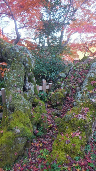 ��̿����ͼ�Ȥ�ߤ���