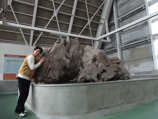 ËäË×ÎÓÇîʪ´Û£±£²