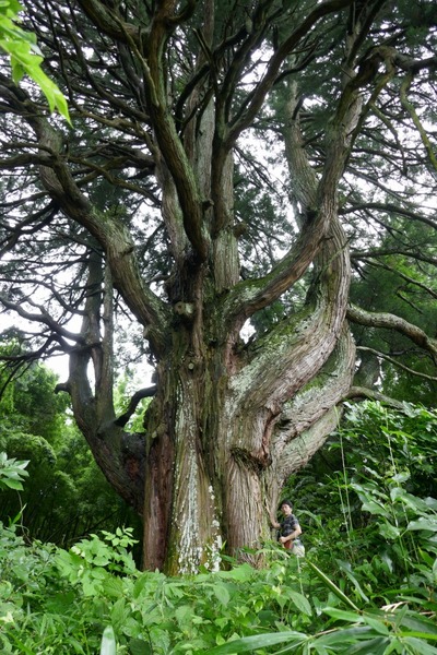 ���Ĥ����������