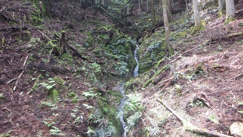 �۶��������ŷ�����