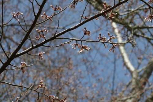 ���奶���� 7