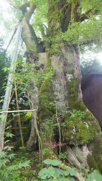 ���������९��