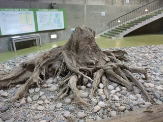 ËäË×ÎÓÇîʪ´Û£¸