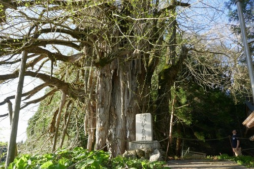 ���縩������ �����������ꥤ���祦11