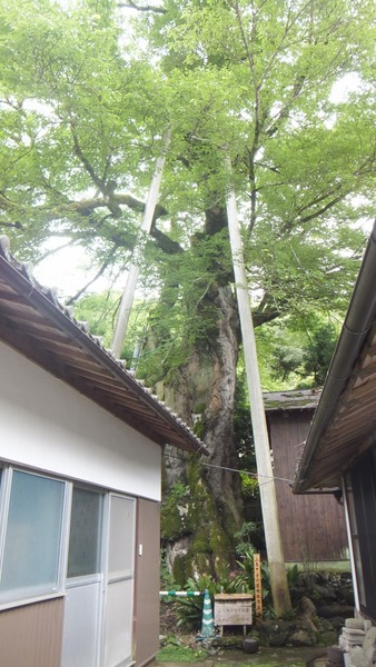 ���������९��