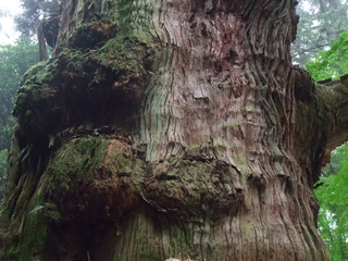 ÂçµÏ¼Ò¤ÎÂç¿ù 5