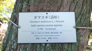 µþÂçõˬÌÚ¡¡£²