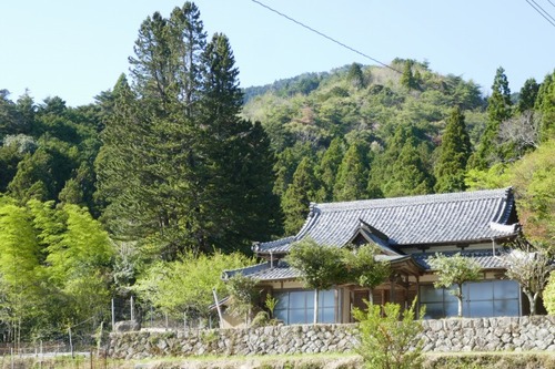 ³Þ·Á»û¤Î¥³¥¦¥ä¥Þ¥£±£´