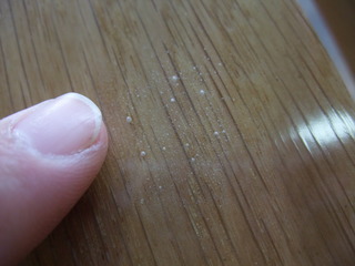 ����������ڣ�