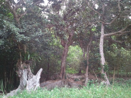 °ÂÇȤΥª¥¥Ê¥ï¥µ¥¥·¥Þ¥¹¥ª¥¦¥Î¥¡¡£´