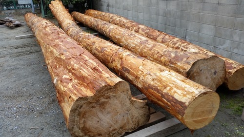 ¤´¤í¤ó¤Ü£µ