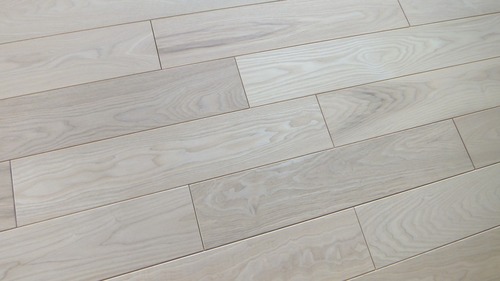 À¶Î俤â¡Ê¤»¤¤¤ê¤ç¤¦¤¿¤â¡ËÉý¹Ìµ¹¤°ìËçʪ¥Õ¥í¡¼¥ê¥ó¥°£²