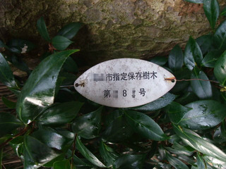 ½ÐÄ¥¤Ë¤Æ£±