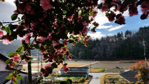 ���Υ����󥫡���