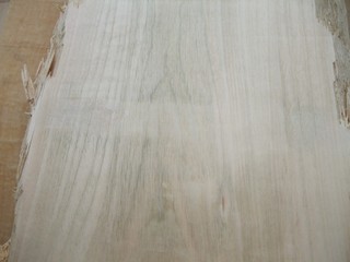 ����̵��������