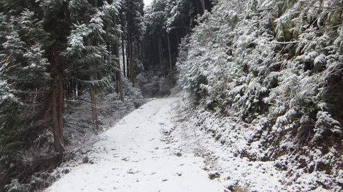 �����������¹����