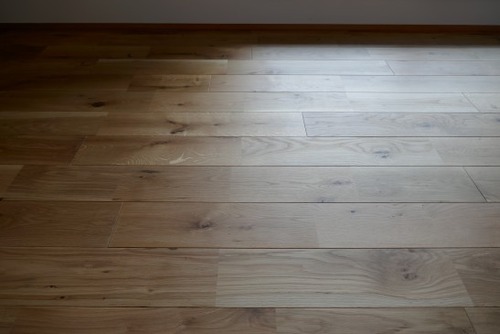 ����������������̵���ե������ �ͥ����åɥ��졼�ɡ�22